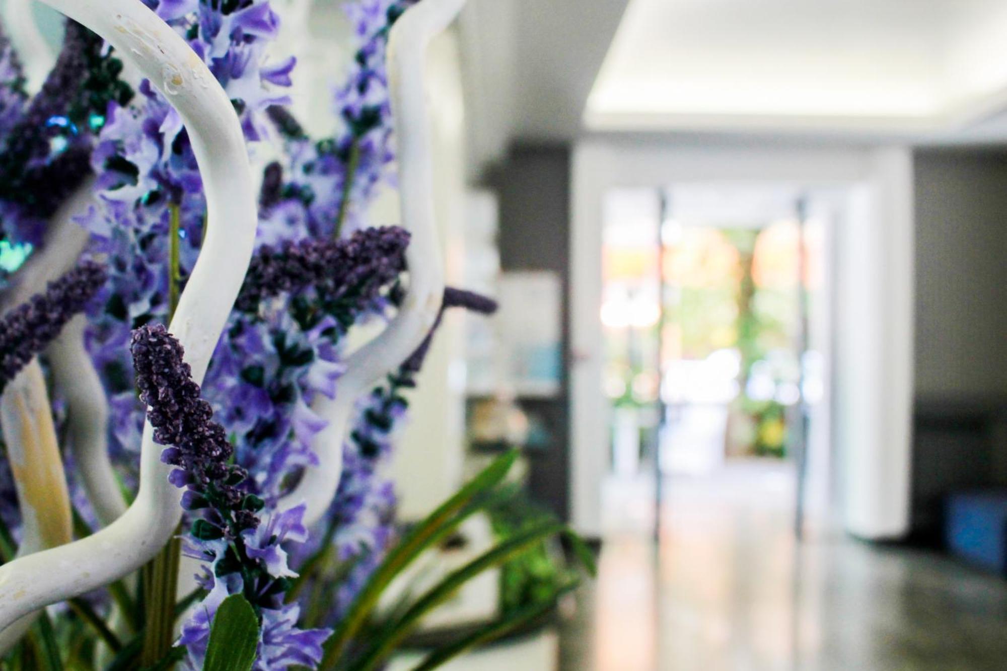 Hotel Della Motta Bellaria-Igea Marina Dış mekan fotoğraf